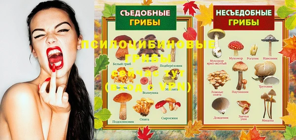 ECSTASY Вяземский