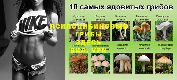 а пвп мука Володарск
